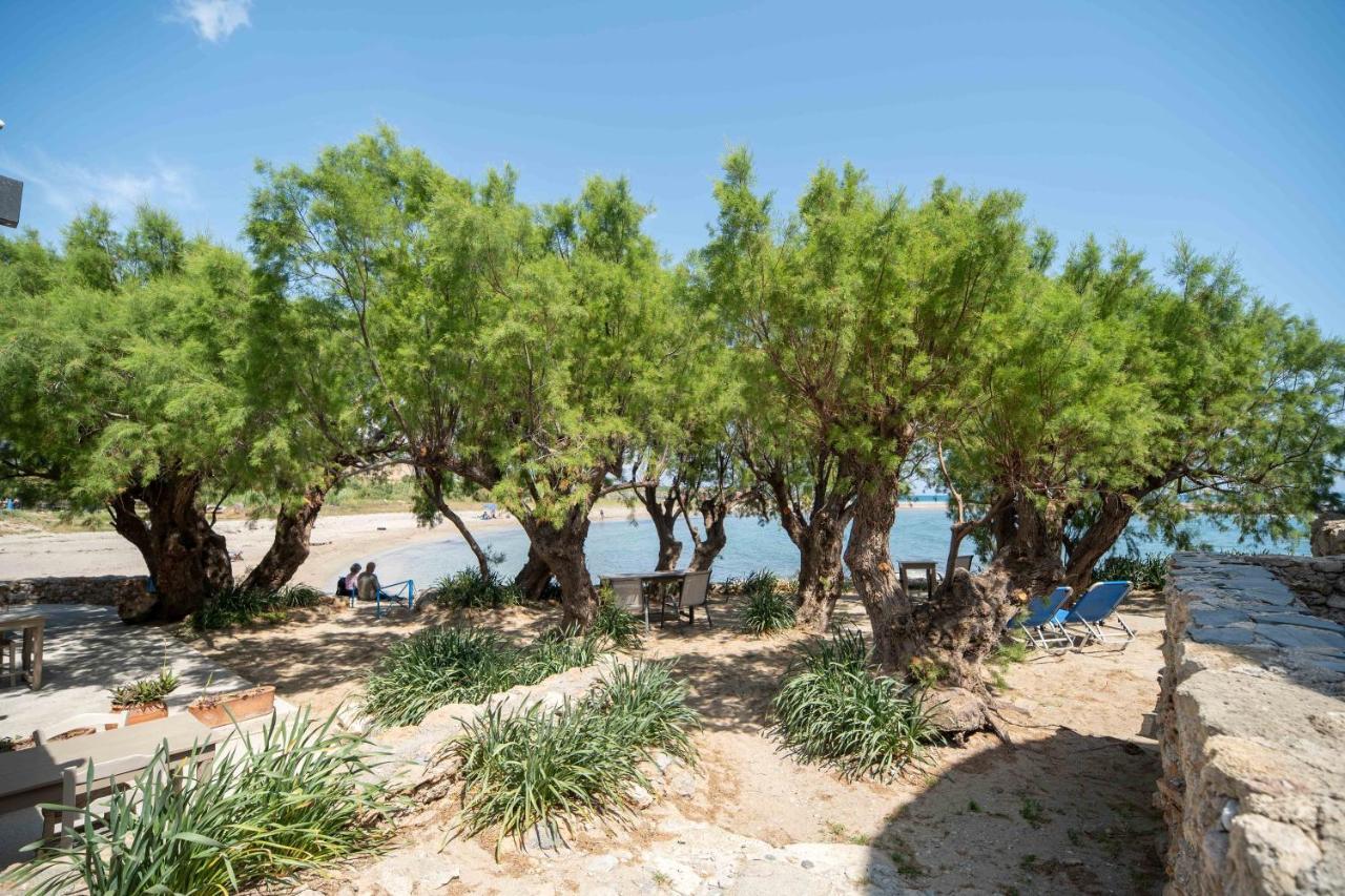 Mylos Seaside Experience Frangokastello Екстериор снимка